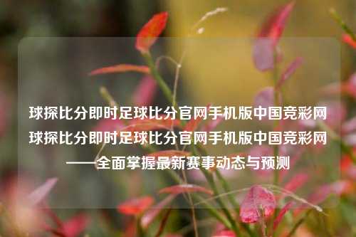 球探比分即时足球比分官网手机版中国竞彩网球探比分即时足球比分官网手机版中国竞彩网——全面掌握最新赛事动态与预测