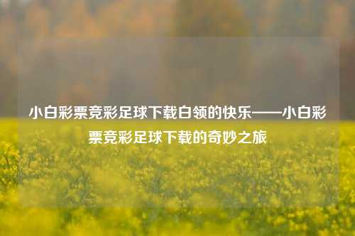 小白彩票竞彩足球下载白领的快乐——小白彩票竞彩足球下载的奇妙之旅