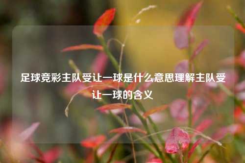 足球竞彩主队受让一球是什么意思理解主队受让一球的含义