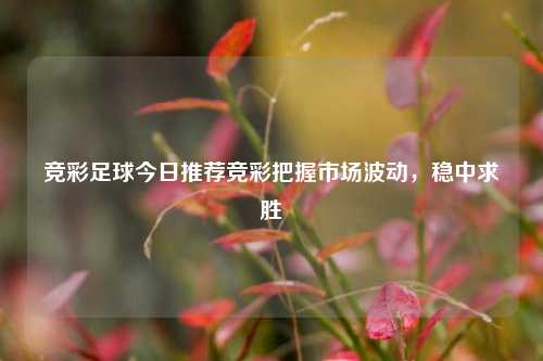 竞彩足球今日推荐竞彩把握市场波动，稳中求胜