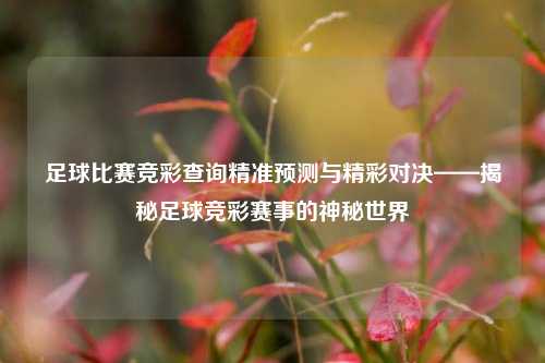 足球比赛竞彩查询精准预测与精彩对决——揭秘足球竞彩赛事的神秘世界