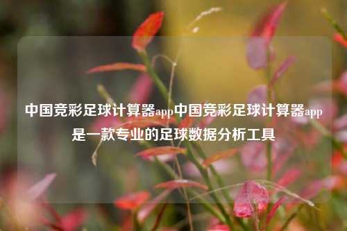 中国竞彩足球计算器app中国竞彩足球计算器app是一款专业的足球数据分析工具