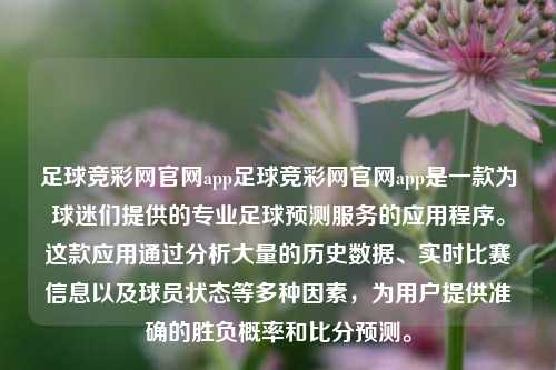 足球竞彩网官网app足球竞彩网官网app是一款为球迷们提供的专业足球预测服务的应用程序。这款应用通过分析大量的历史数据、实时比赛信息以及球员状态等多种因素，为用户提供准确的胜负概率和比分预测。