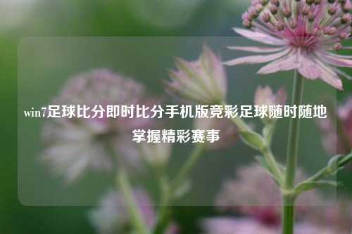 win7足球比分即时比分手机版竞彩足球随时随地掌握精彩赛事