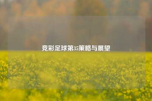 竞彩足球第35策略与展望