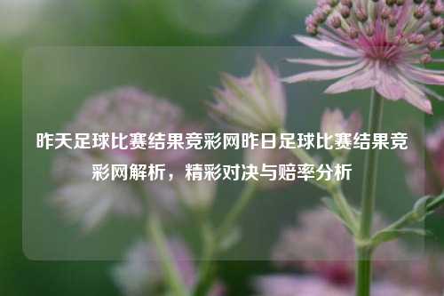 昨天足球比赛结果竞彩网昨日足球比赛结果竞彩网解析，精彩对决与赔率分析