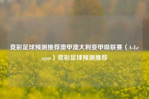 竞彩足球预测推荐澳甲澳大利亚甲级联赛（A-League）竞彩足球预测推荐