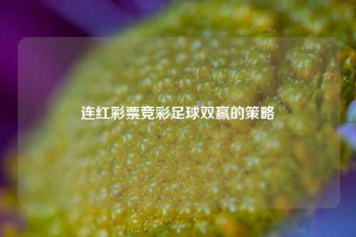 连红彩票竞彩足球双赢的策略