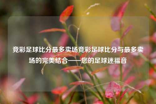 竞彩足球比分最多卖场竞彩足球比分与最多卖场的完美结合——您的足球迷福音