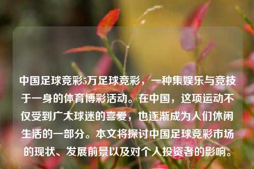 中国足球竞彩5万足球竞彩，一种集娱乐与竞技于一身的体育博彩活动。在中国，这项运动不仅受到广大球迷的喜爱，也逐渐成为人们休闲生活的一部分。本文将探讨中国足球竞彩市场的现状、发展前景以及对个人投资者的影响。