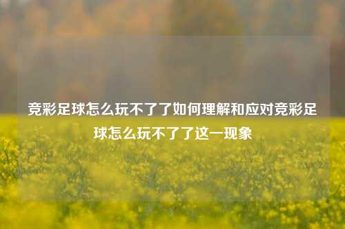 竞彩足球怎么玩不了了如何理解和应对竞彩足球怎么玩不了了这一现象