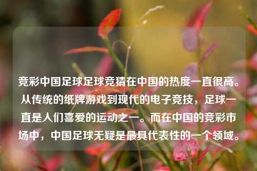 竞彩中国足球足球竞猜在中国的热度一直很高。从传统的纸牌游戏到现代的电子竞技，足球一直是人们喜爱的运动之一。而在中国的竞彩市场中，中国足球无疑是最具代表性的一个领域。
