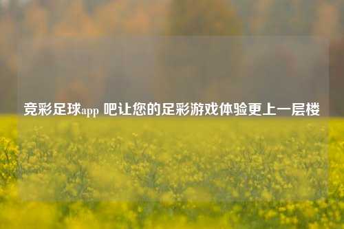 竞彩足球app 吧让您的足彩游戏体验更上一层楼