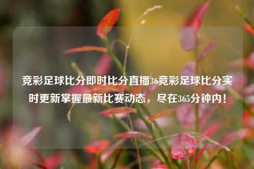 竞彩足球比分即时比分直播36竞彩足球比分实时更新掌握最新比赛动态，尽在365分钟内！