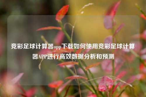 竞彩足球计算器app下载如何使用竞彩足球计算器APP进行高效数据分析和预测