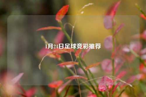 1月24日足球竞彩推荐