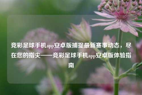竞彩足球手机app安卓版捕捉最新赛事动态，尽在您的指尖——竞彩足球手机app安卓版体验指南