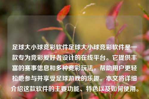 足球大小球竞彩软件足球大小球竞彩软件是一款专为竞彩爱好者设计的在线平台。它提供丰富的赛事信息和多种竞彩玩法，帮助用户更轻松地参与并享受足球游戏的乐趣。本文将详细介绍这款软件的主要功能、特色以及如何使用。