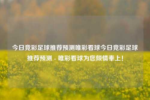 今日竞彩足球推荐预测唯彩看球今日竞彩足球推荐预测 - 唯彩看球为您倾情奉上！