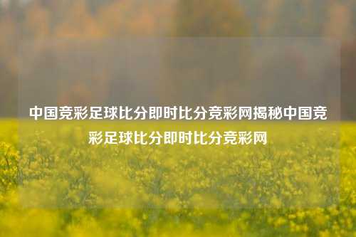 中国竞彩足球比分即时比分竞彩网揭秘中国竞彩足球比分即时比分竞彩网