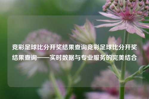 竞彩足球比分开奖结果查询竞彩足球比分开奖结果查询——实时数据与专业服务的完美结合